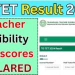 TS TET Result 2024