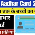 Blue Aadhar Card