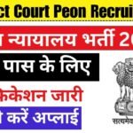 District Court Peon Recruitment: जिला न्यायालय में 8वीं पास चपरासी के पदों पर भर्ती का नोटिफिकेशन जारी 