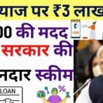 5% ब्याज पर ₹3 लाख लोन, ₹15000 की मदद, मोदी सरकार की है शानदार स्कीम