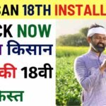 PM Kisan 18th Installment 2024