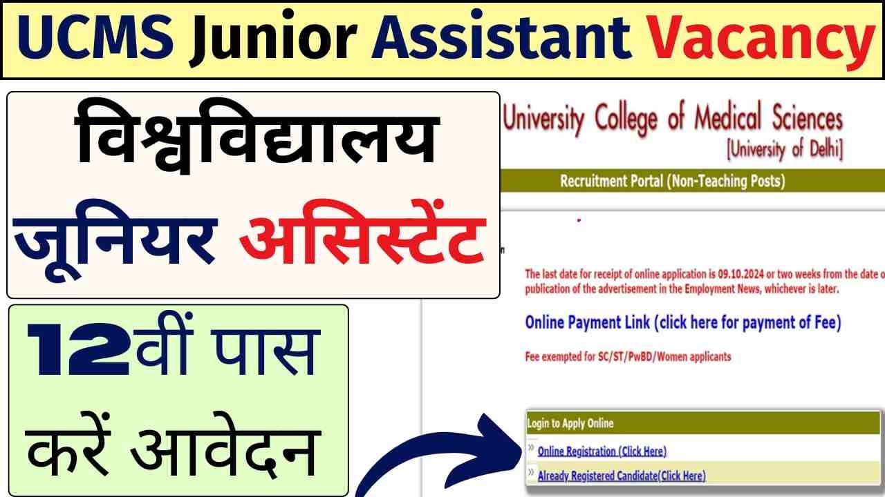 UCMS DU Junior Assistant Bharti 2024 Overview