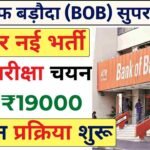 Bank of Baroda Supervisor Vacancy 2024 