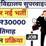 University Supervisor Recruitment 2024 