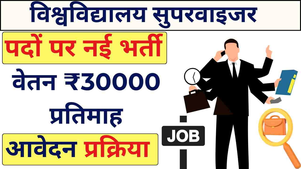 University Supervisor Recruitment 2024 